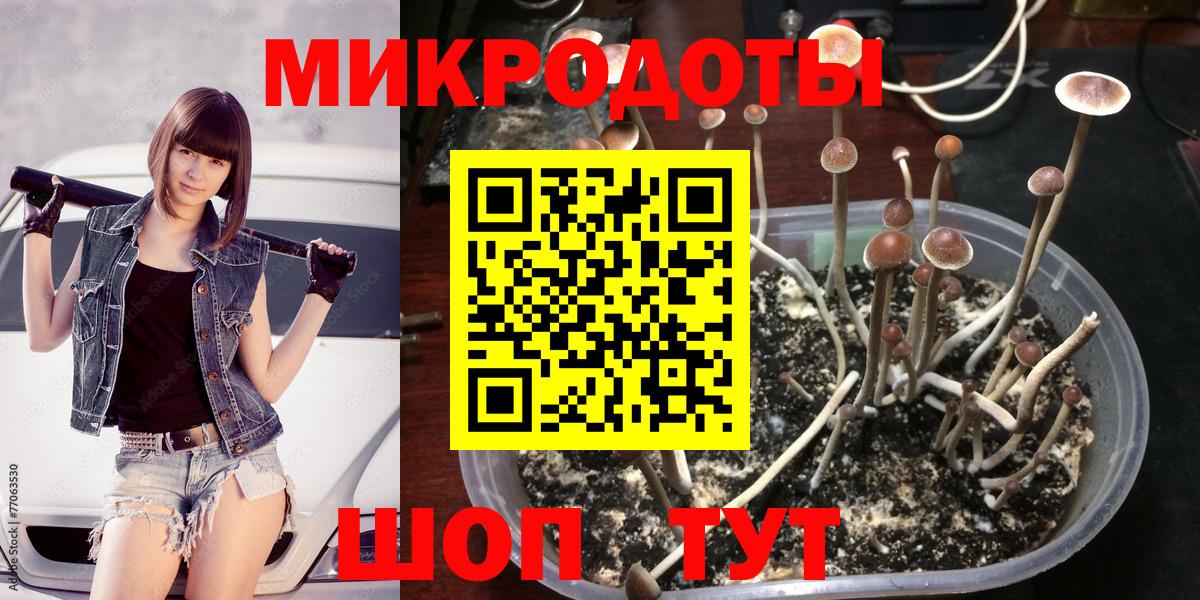 Галлюциногенные грибы мухоморы  Вход с VPN  Новочебоксарск 